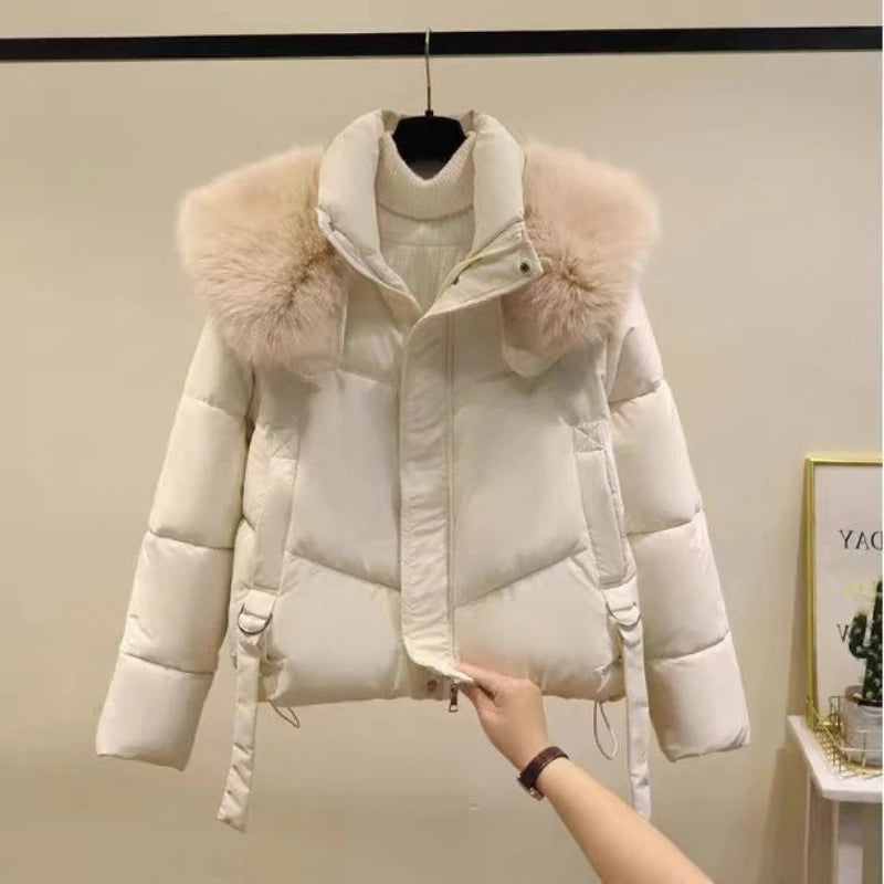 puffer Korean Parka